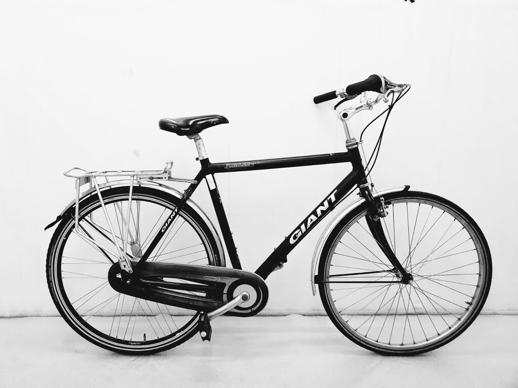 giant dutch bike